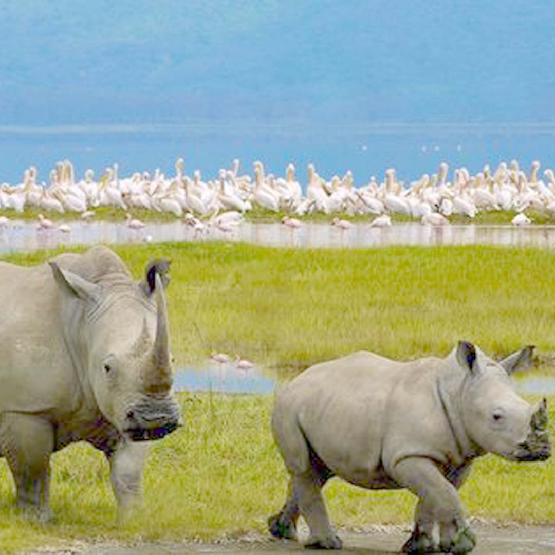 Lake Nakuru National Park